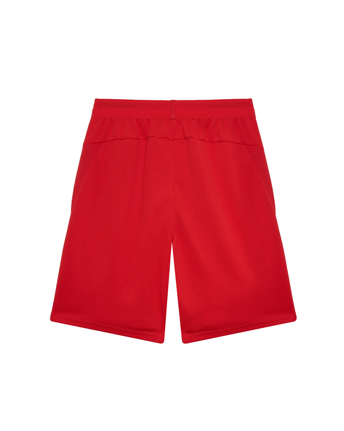 Training Shorts SC Braga Puma 23/24 Adult Red