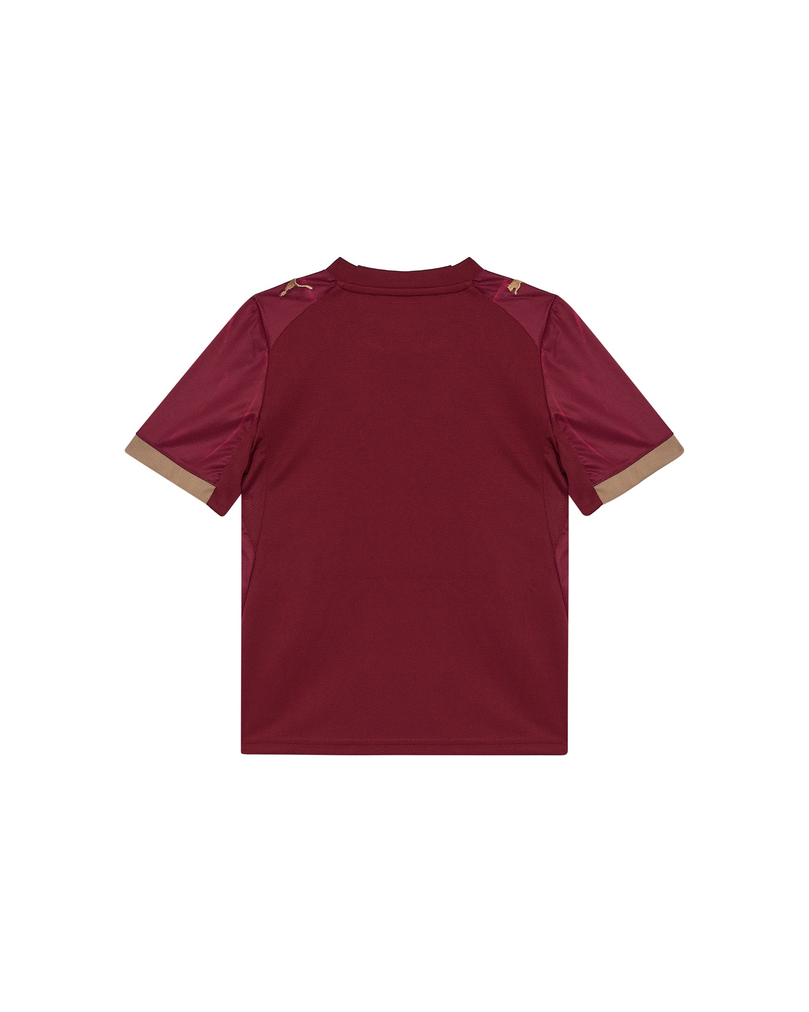 Camisola Oficial SC Braga Equipamento Alternativo 26/27 Júnior Bordô