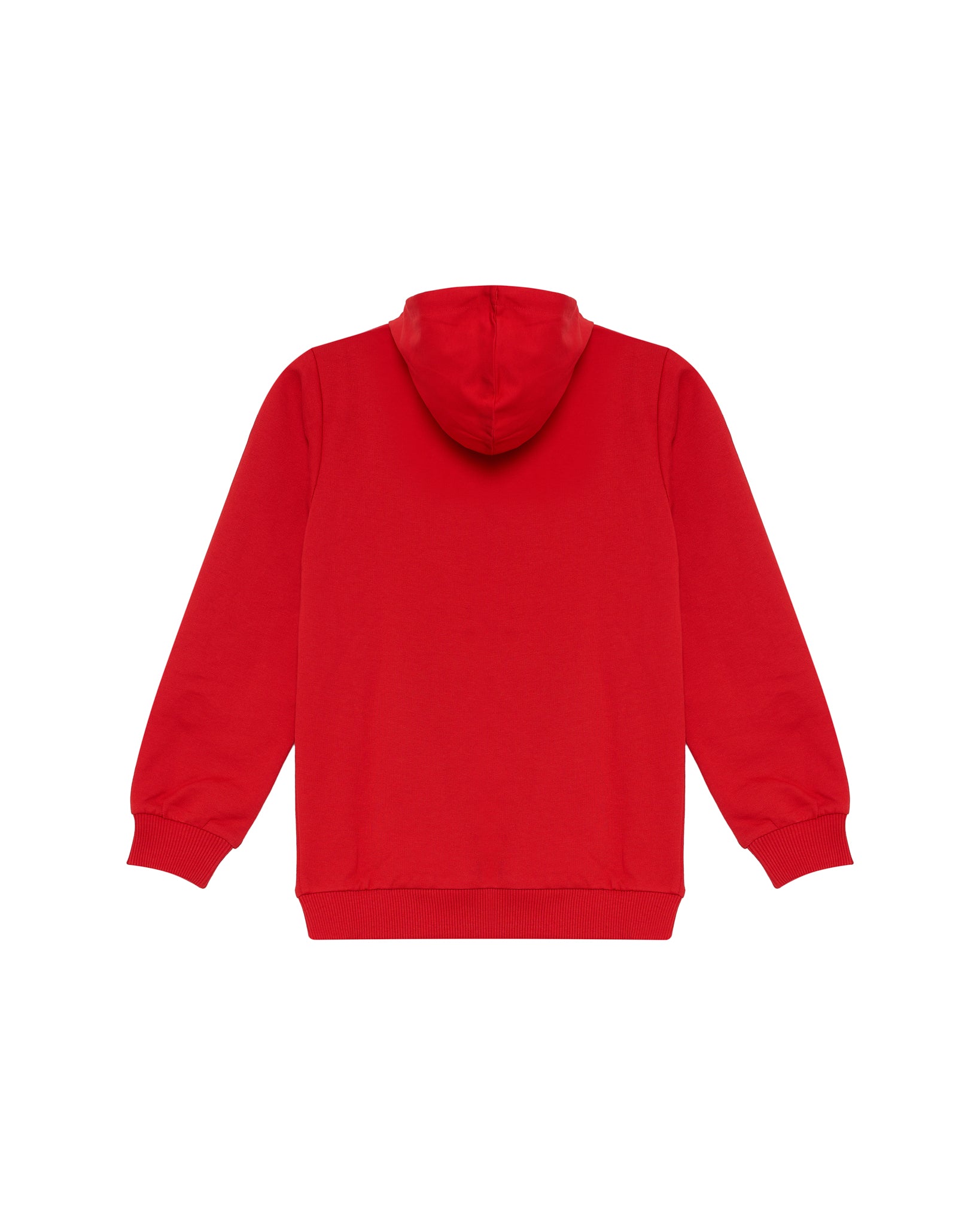 Hoodie Puma 26/27 Júnior Vermelho