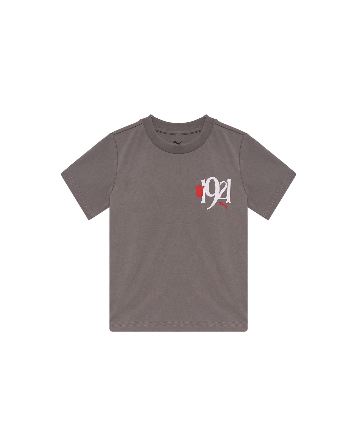 T-shirt SC Braga x PUMA 1921 Júnior Cinza