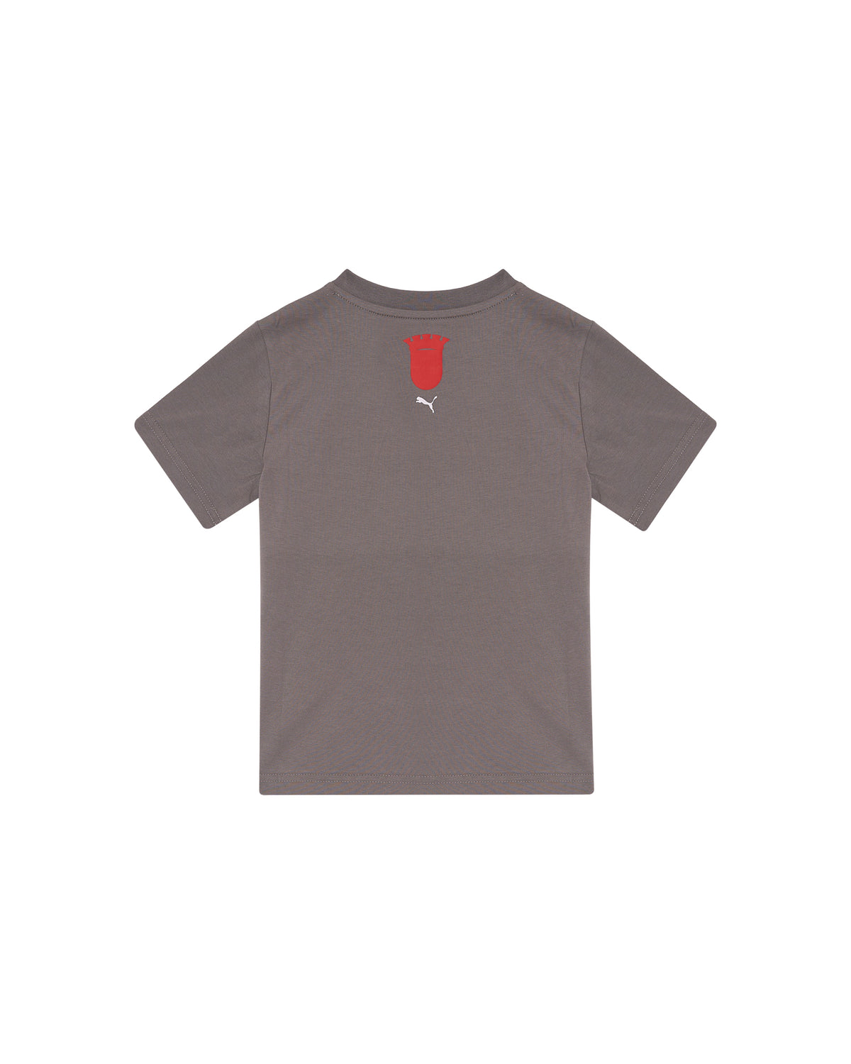 T-shirt SC Braga x PUMA 1921 Júnior Cinza