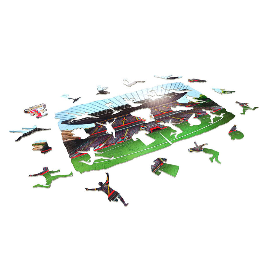 Puzzle Madeira SC Braga Stadium